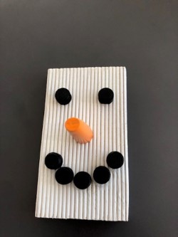 Schneemann09